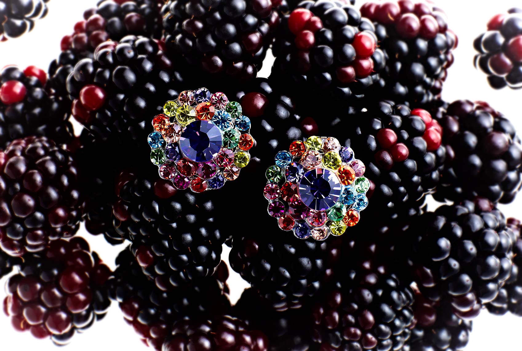 blackberry1.jpg